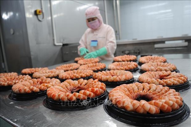 L industrie de transformation de crevettes s efforce de maintenir l’objectif des exportations